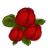 rose2